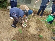 d2014.5.30 1.jpg